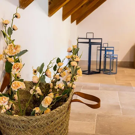 Suites El Encanto Del Pinar (Adults Only) Hotell