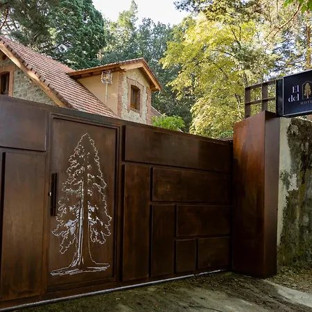 Suites El Encanto Del Pinar (Adults Only) Hotell *